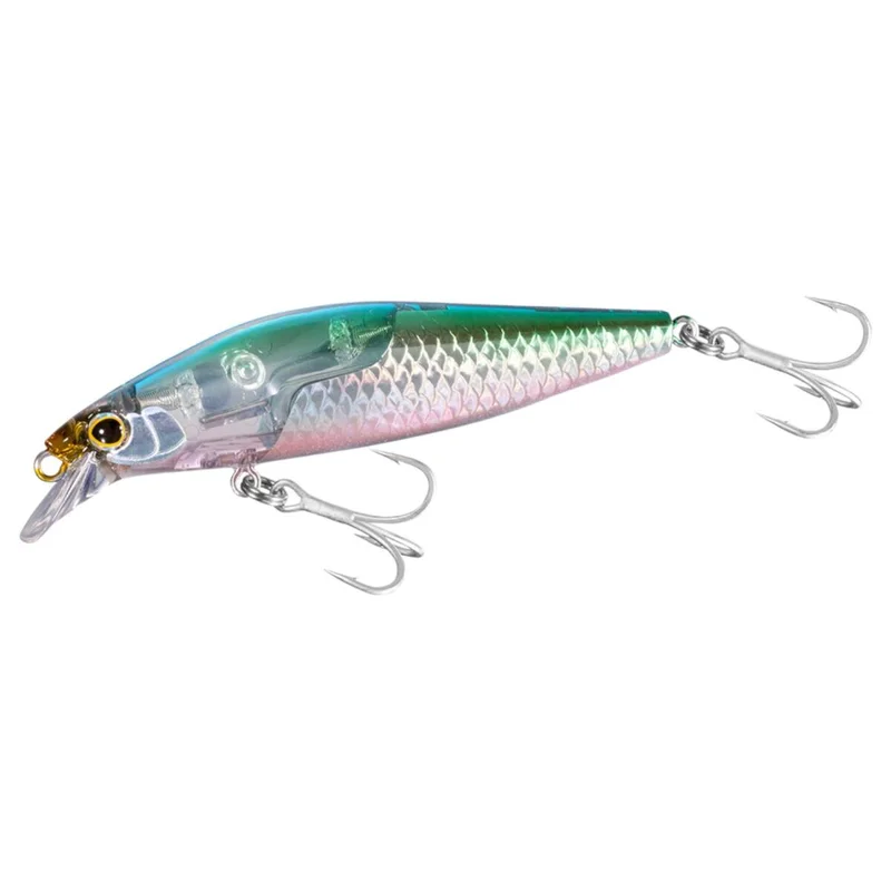 tackle-dealer-shop5002568