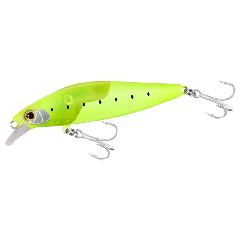 tackle-dealer-shop5002732