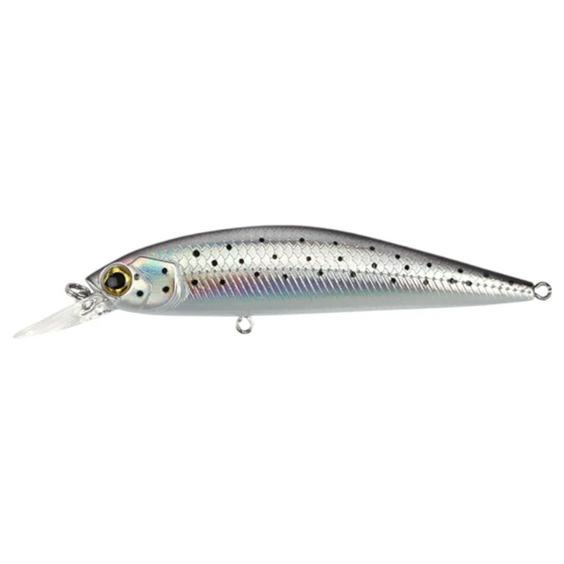 tackle-dealer-shop5004223