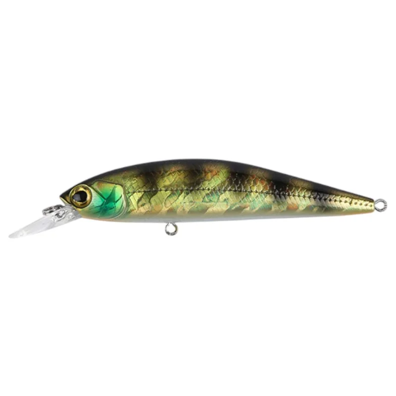 tackle-dealer-shop5004336