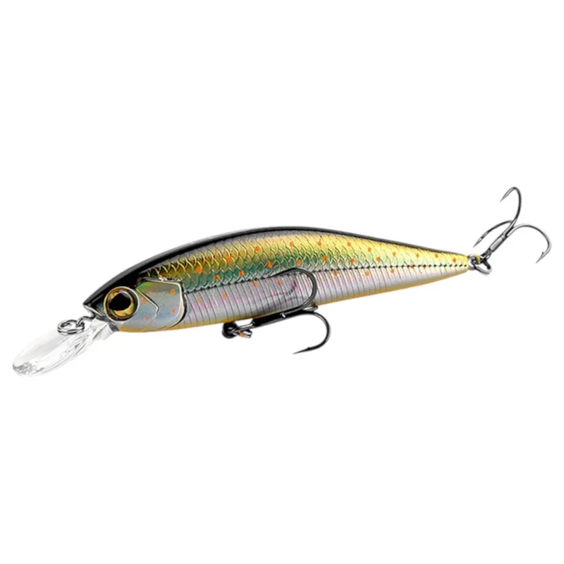tackle-dealer-shop5004635