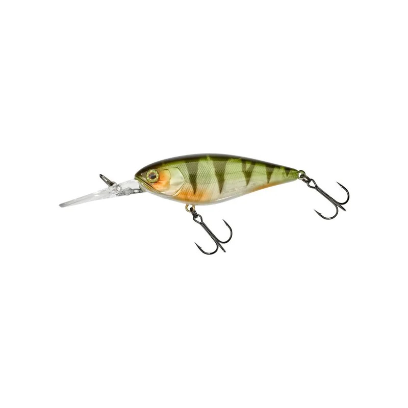 tackle-dealer-shop5035846