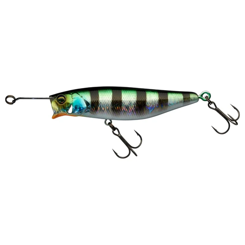 tackle-dealer-shop5047411