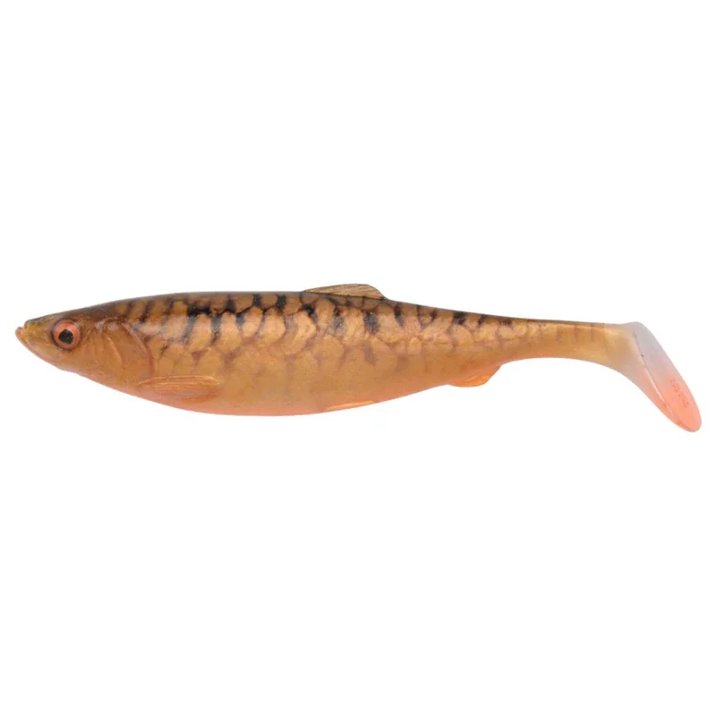 tackle-dealer-shop5047531