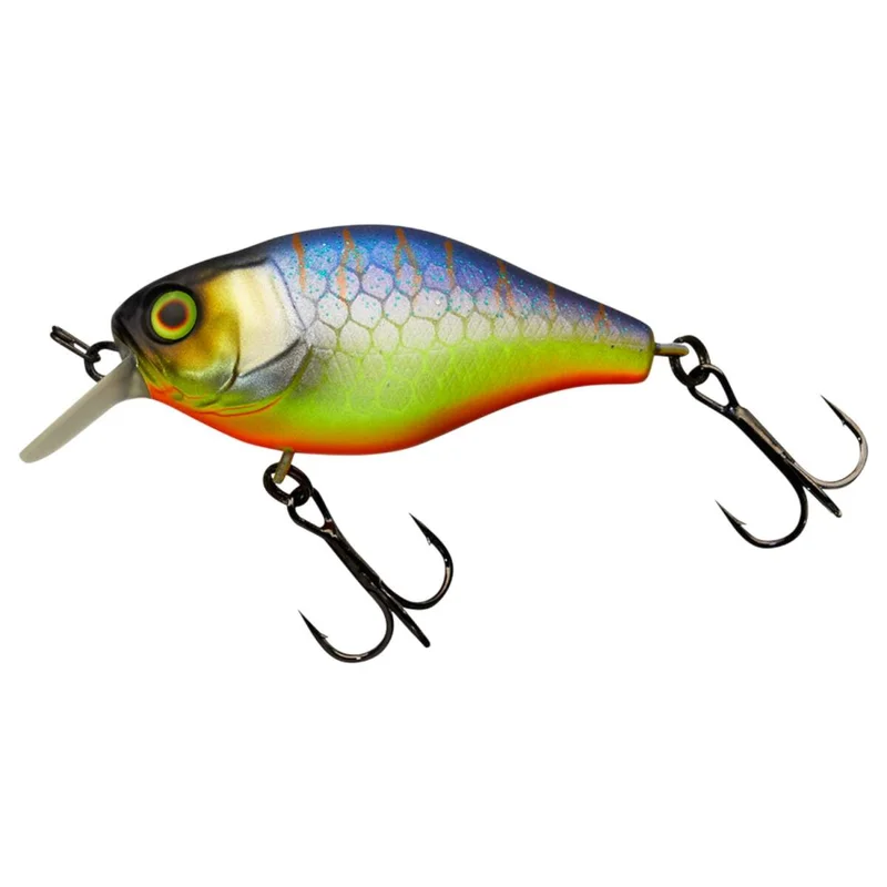tackle-dealer-shop5048019