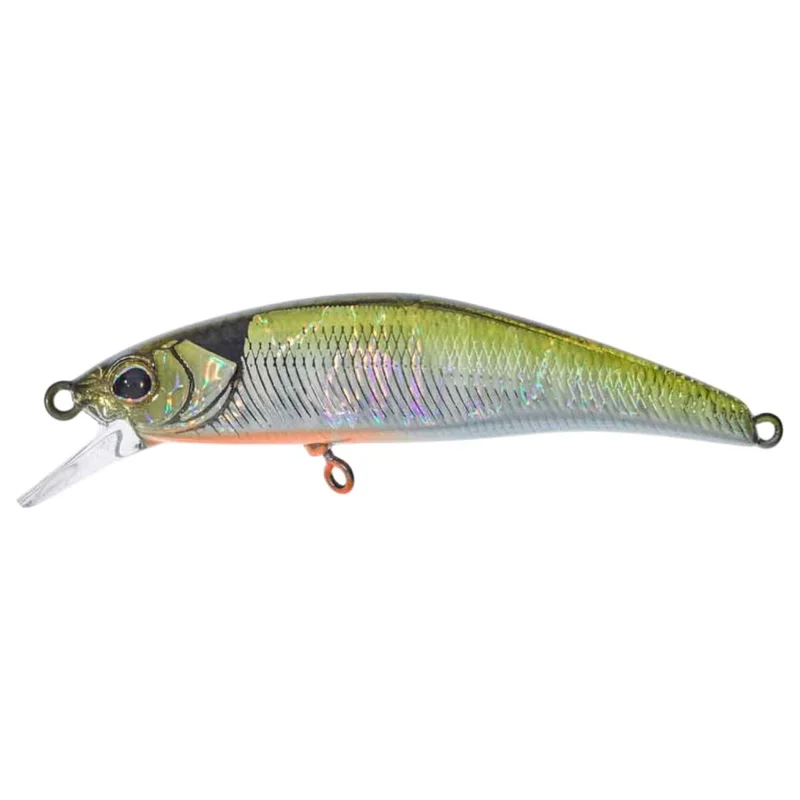 tackle-dealer-shop5048162