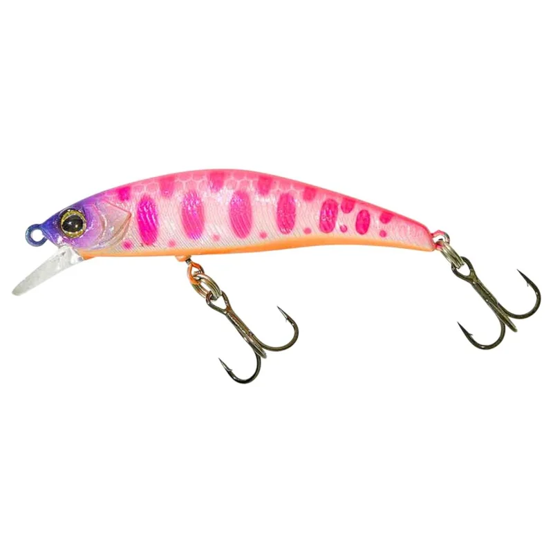 tackle-dealer-shop5048503