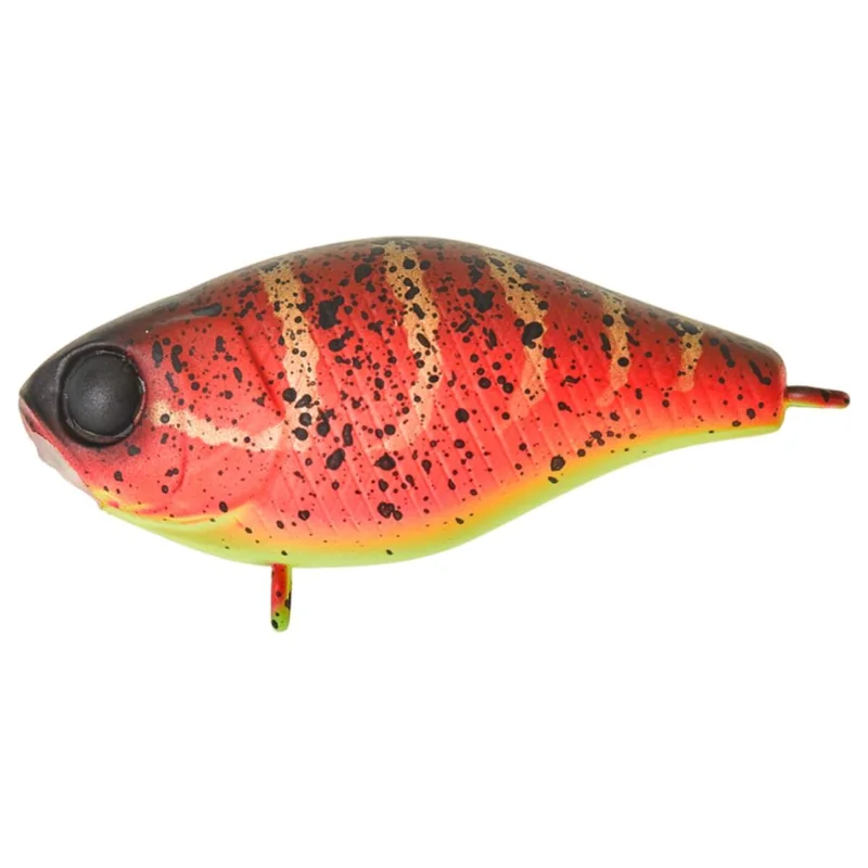 tackle-dealer-shop5048833