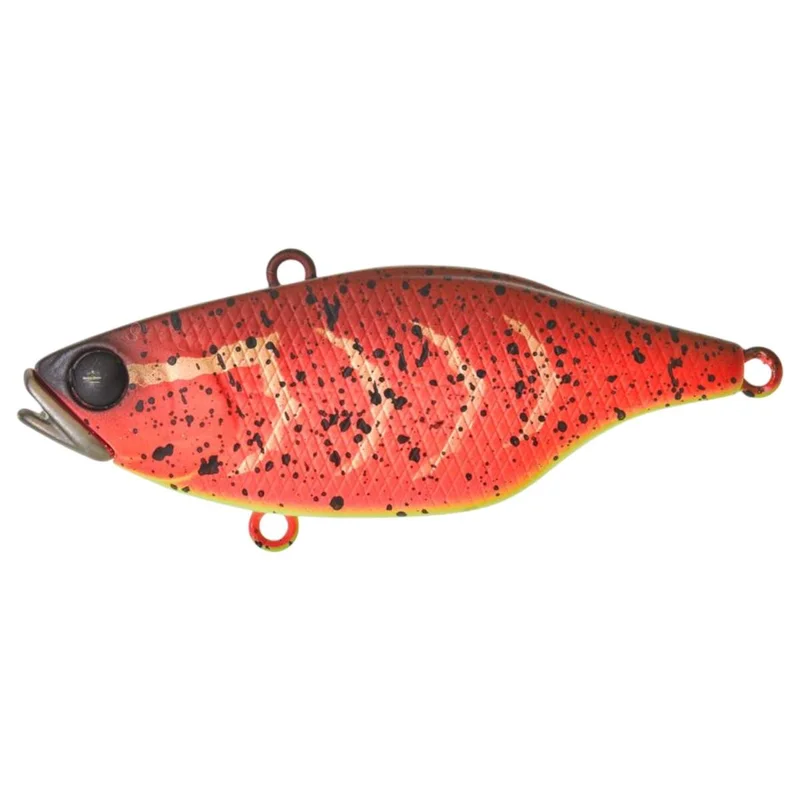 tackle-dealer-shop5049067