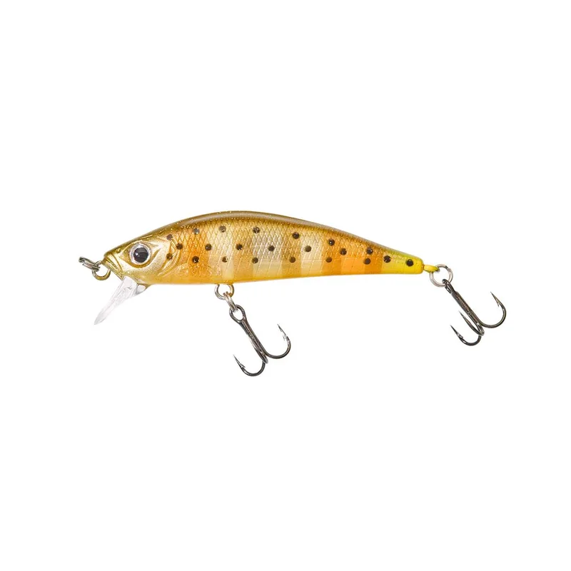 tackle-dealer-shop5049473