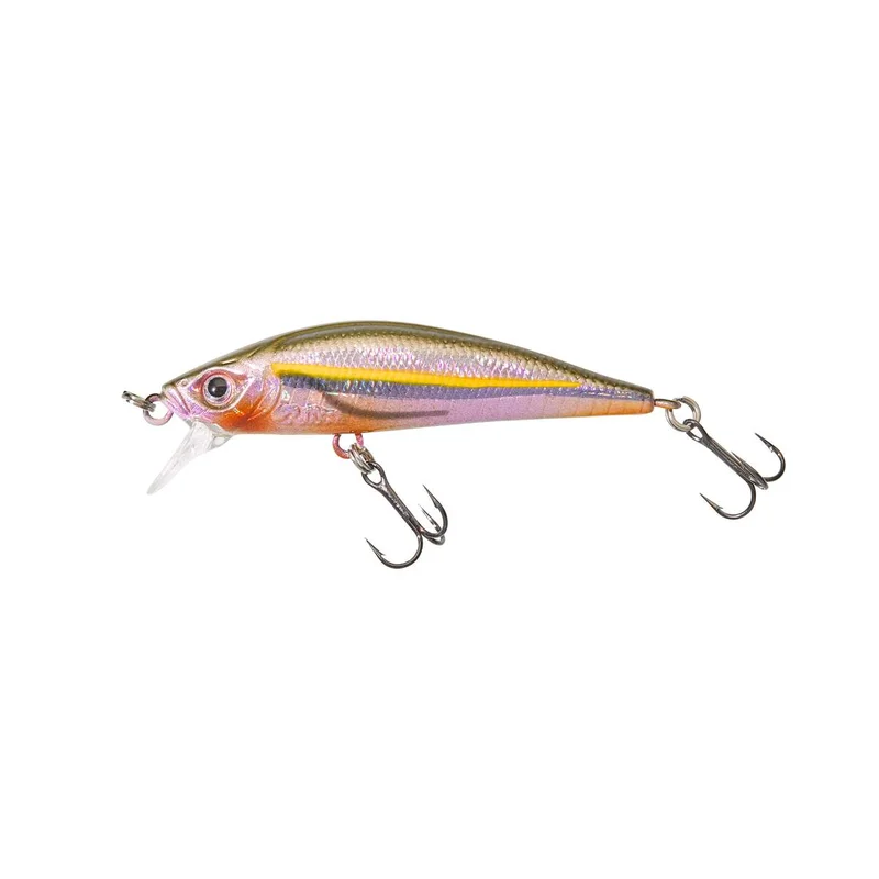 tackle-dealer-shop5049567