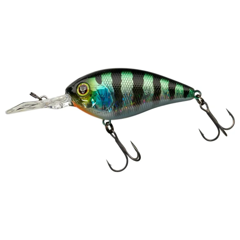 tackle-dealer-shop5051509