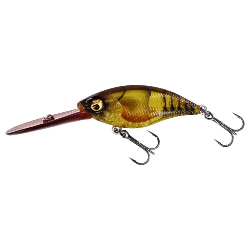 tackle-dealer-shop5053233