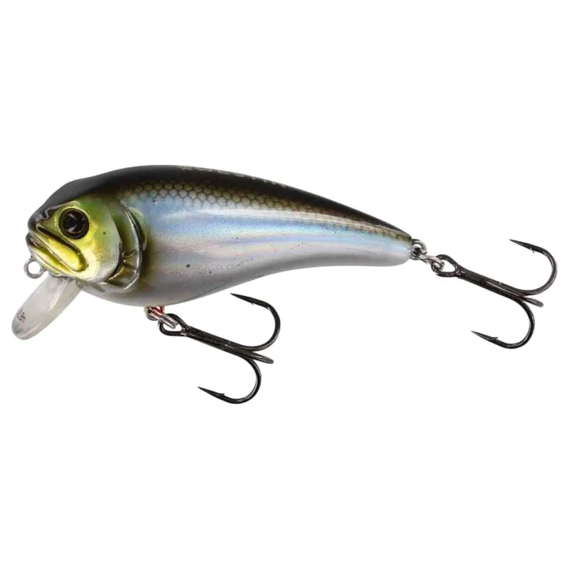 tackle-dealer-shop5053263