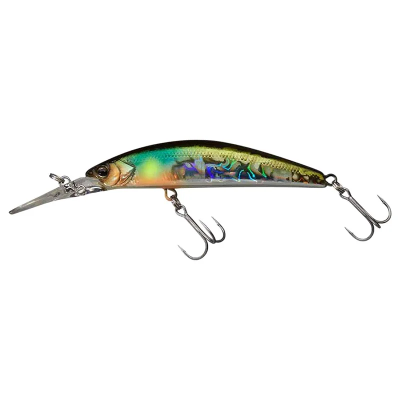 tackle-dealer-shop5053813