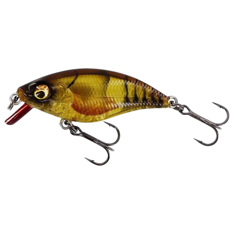 tackle-dealer-shop5053965