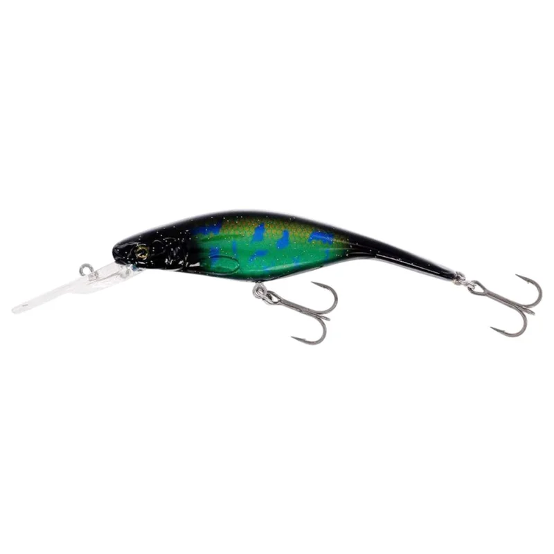 tackle-dealer-shop5054459