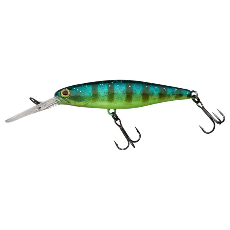 tackle-dealer-shop5054712