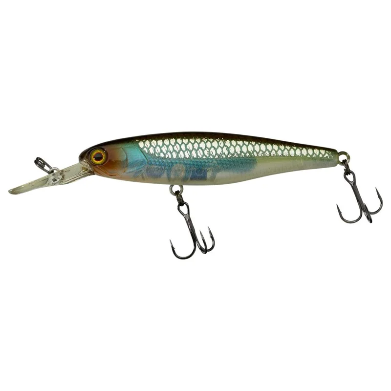 tackle-dealer-shop5054883
