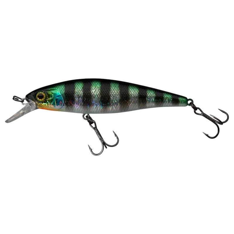 tackle-dealer-shop5054935