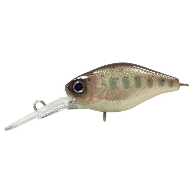 tackle-dealer-shop5056146