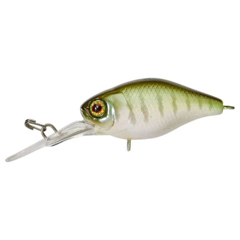tackle-dealer-shop5056156