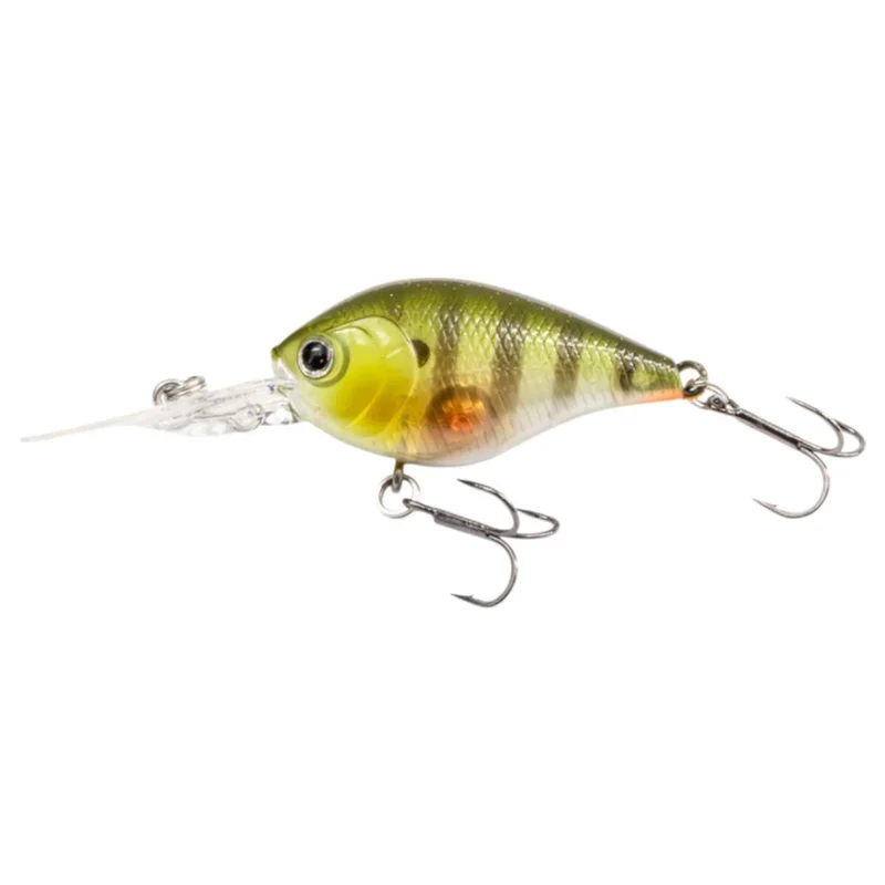 tackle-dealer-shop5064744