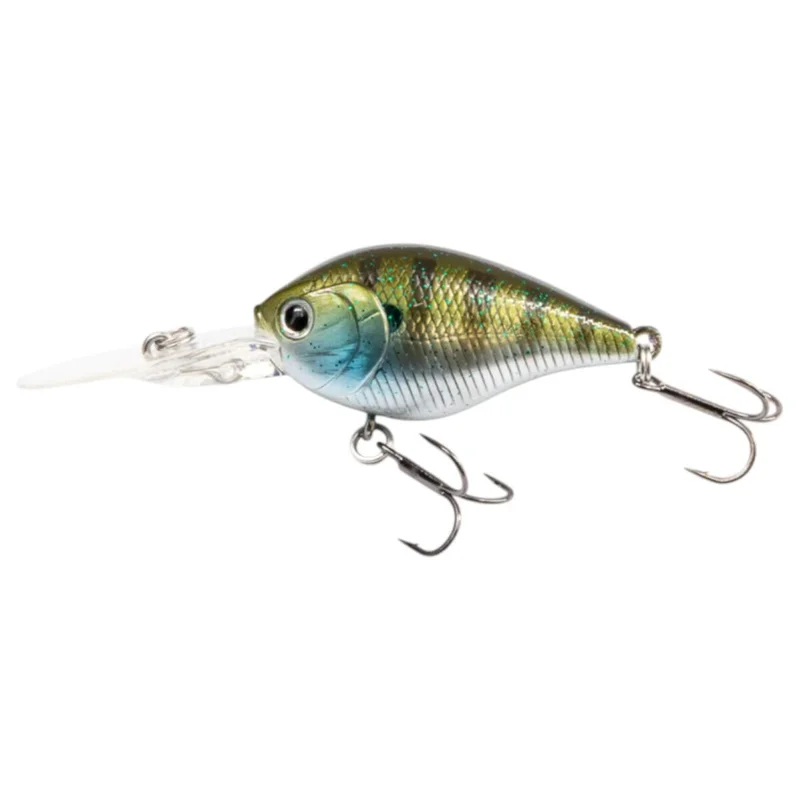 tackle-dealer-shop5064800