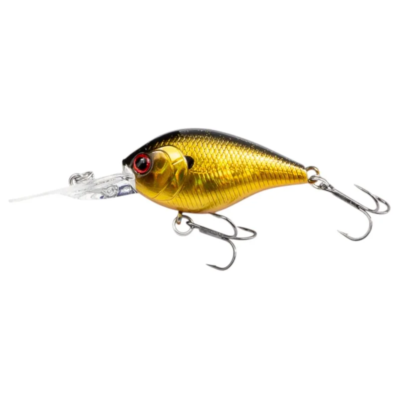 tackle-dealer-shop5064925