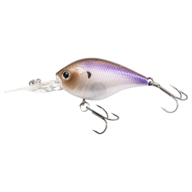 tackle-dealer-shop5064939