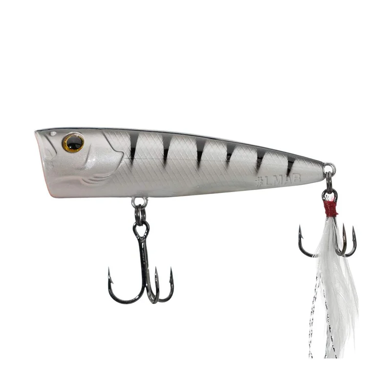 tackle-dealer-shop5065231