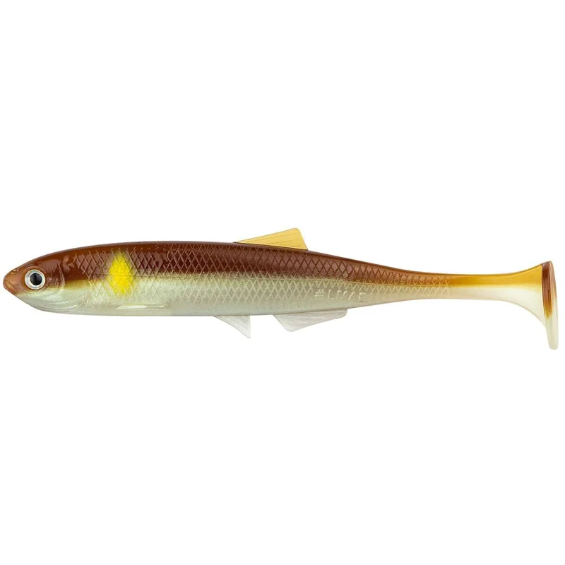 tackle-dealer-shop5069887