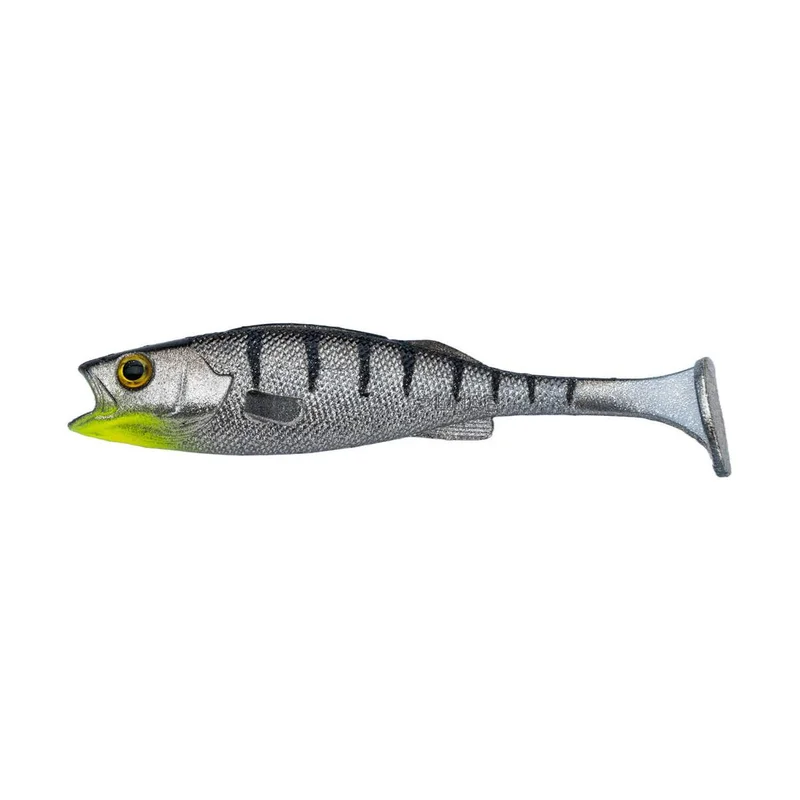tackle-dealer-shop5071941