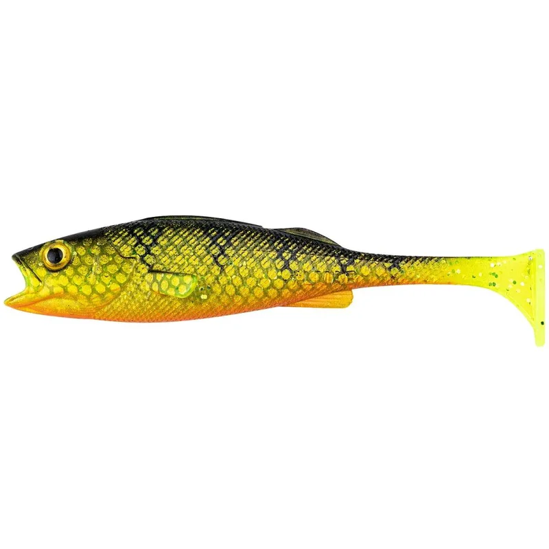 tackle-dealer-shop5072326