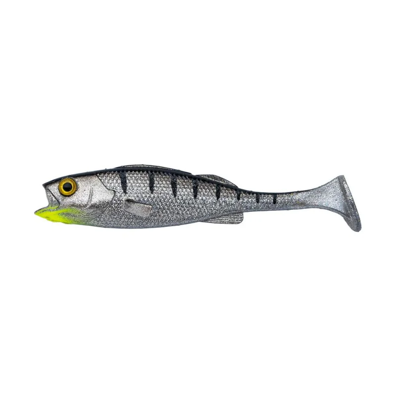 tackle-dealer-shop5072393