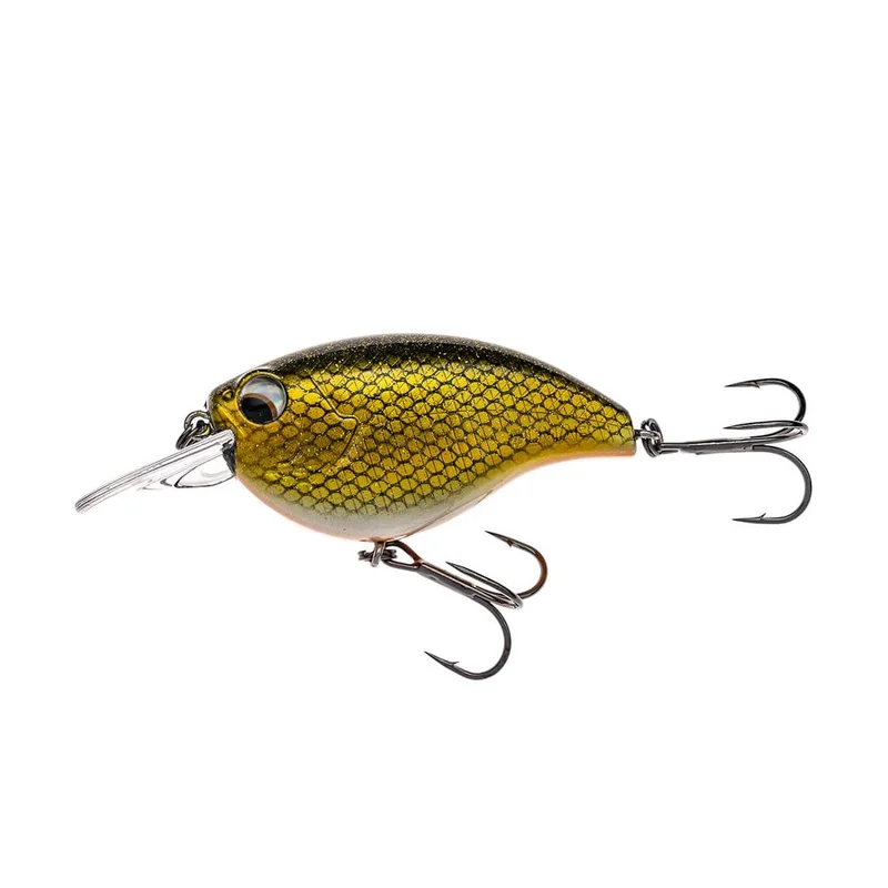 tackle-dealer-shop5074096