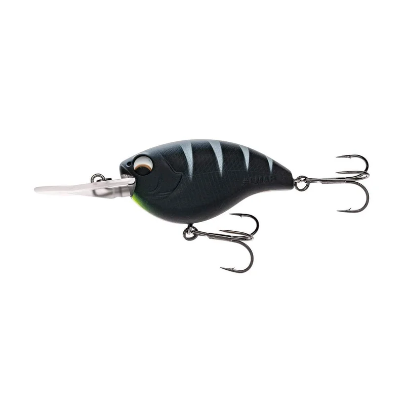 tackle-dealer-shop5074164