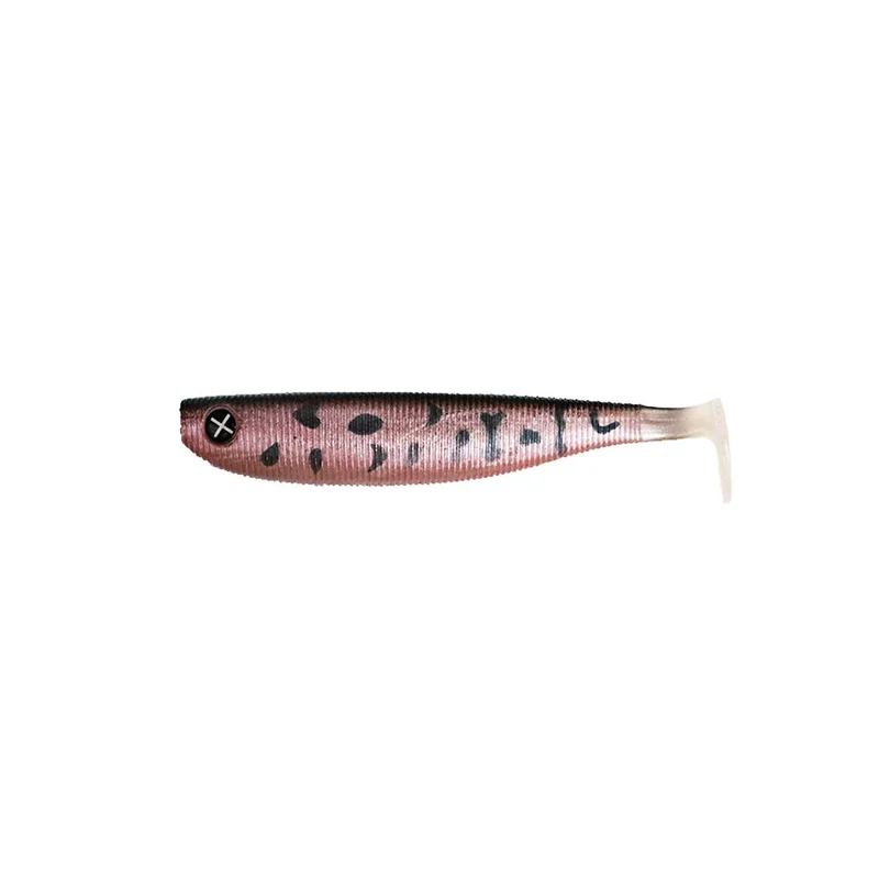 tackle-dealer-shop5076064