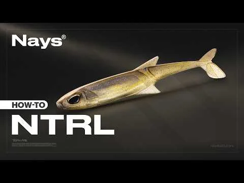 tackle-dealer-shop5083431