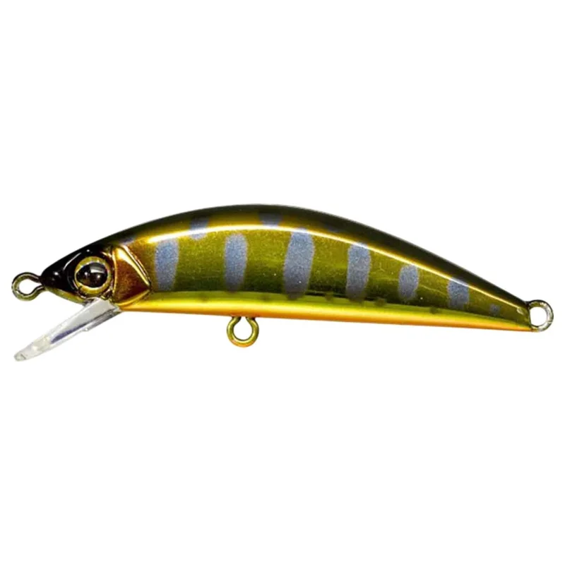 tackle-dealer-shop5086989