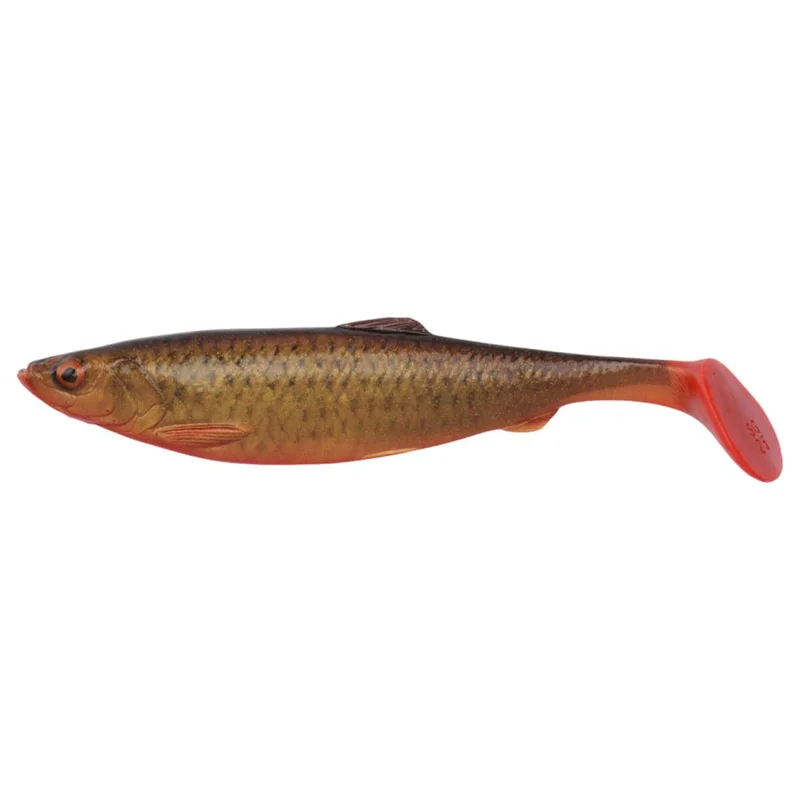 tackle-dealer-shop5089449
