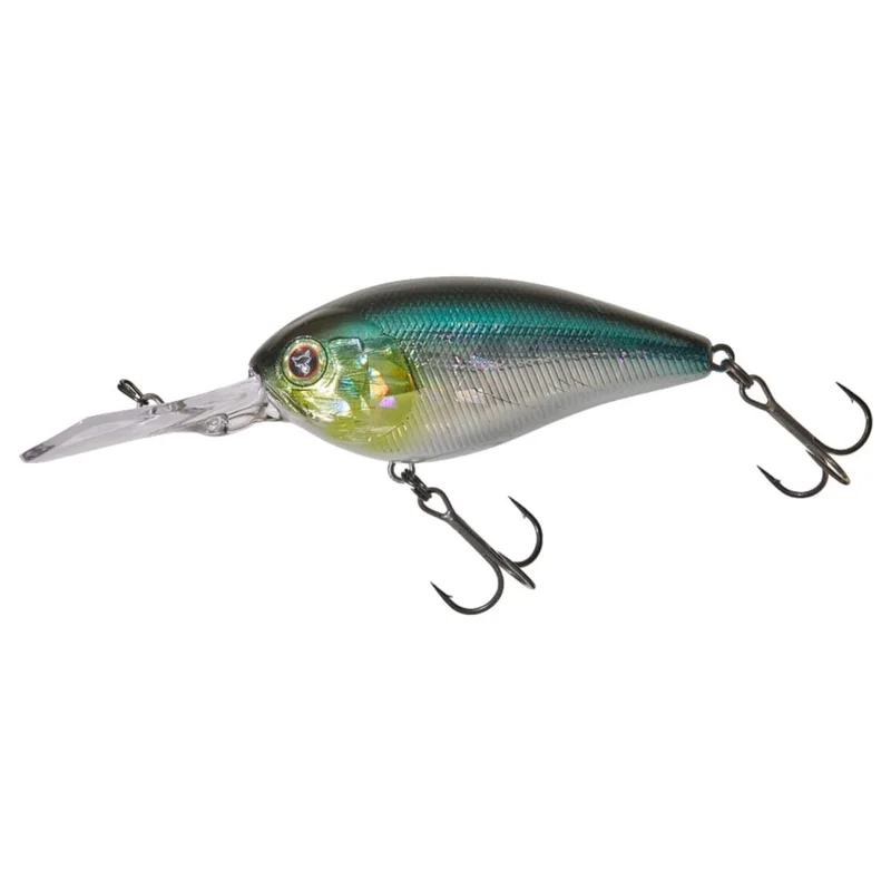 tackle-dealer-shop5090896