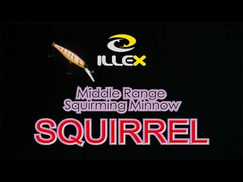 tackle-dealer-shop5092244