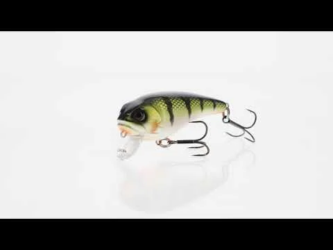 tackle-dealer-shop5092608