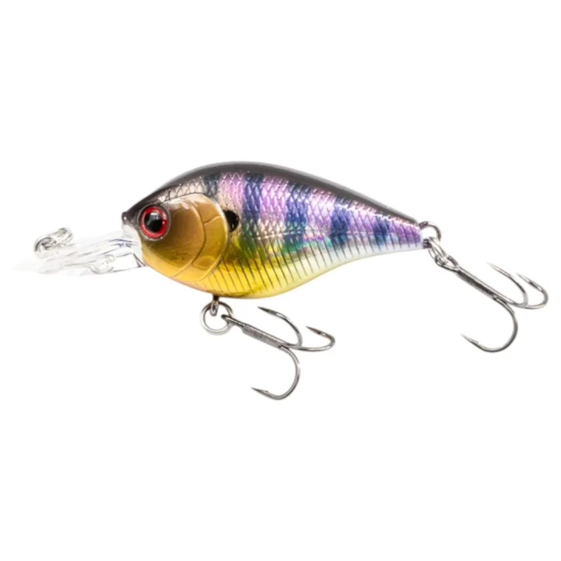 tackle-dealer-shop5100518